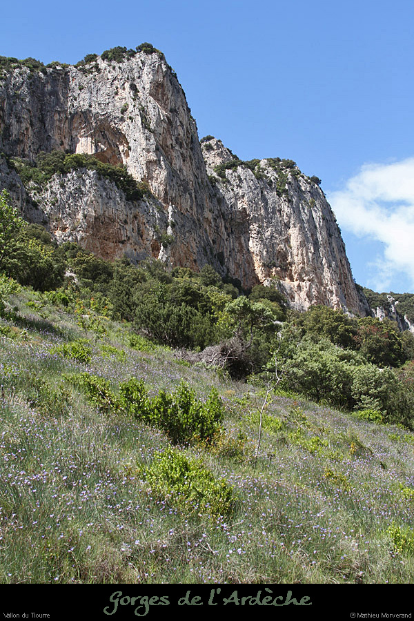 20130522_vallontiourre_falaisesnorddusentier1