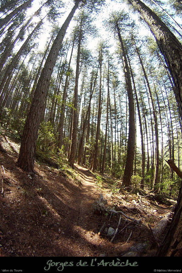 20120524_vallontiourre_sentiersouslafalette
