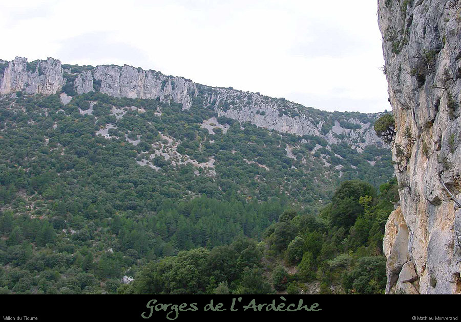 20001105_vtiourre1