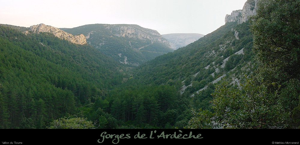 20030329_vtiourre01