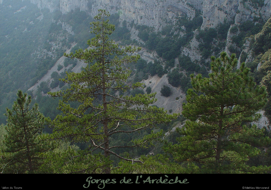 20030329_vtiourre07