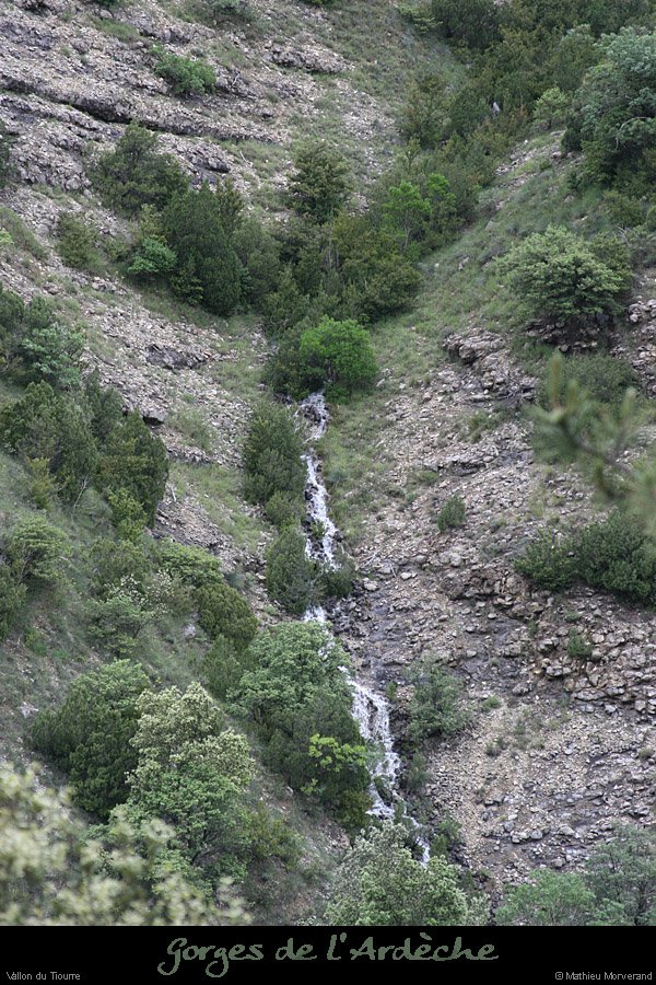 20080529_vallontiourre_ruisseauephemere