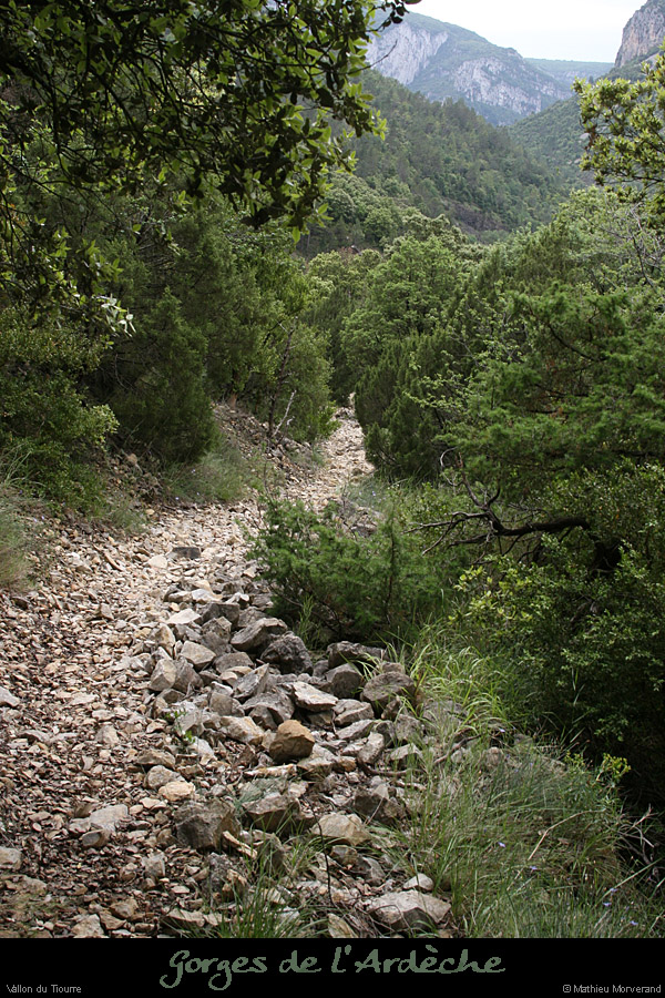 20080601_tiourresentier