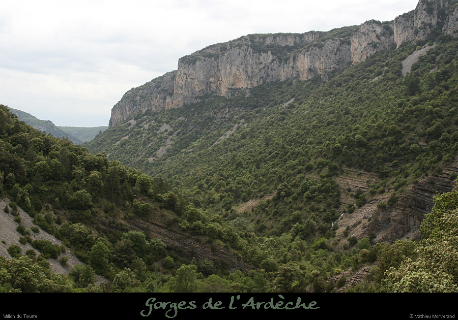 20080601_tiourrevallon1