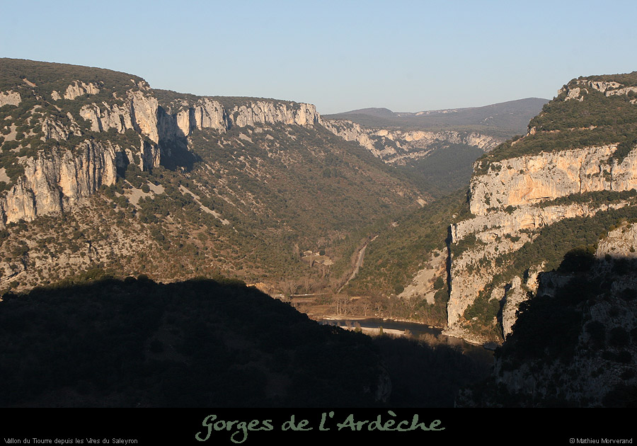 20081227_tiourredesaleyron1