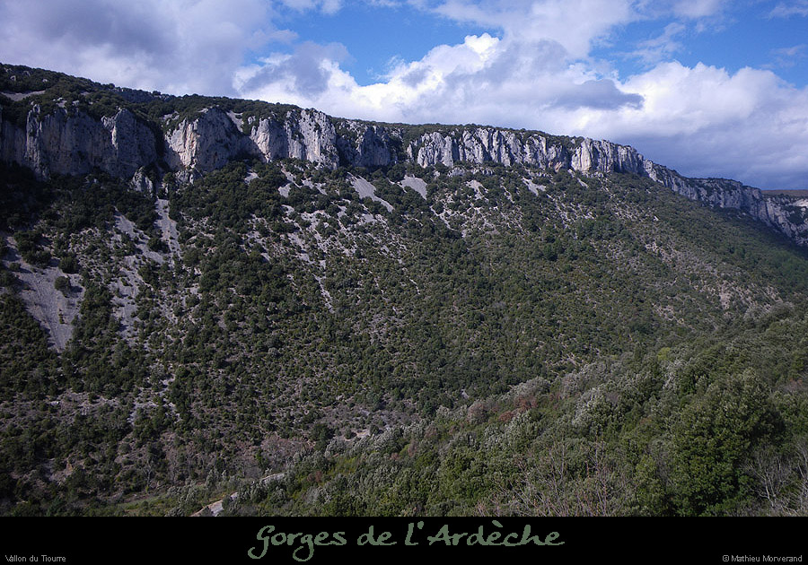 20100327_vallontiourredeserredetourre3