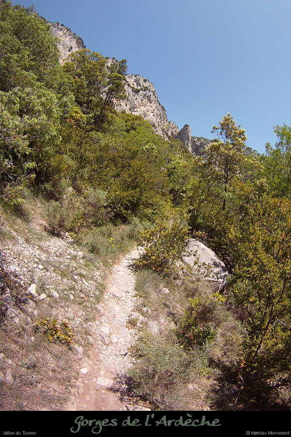 20120524_vallontiourre_sentier1