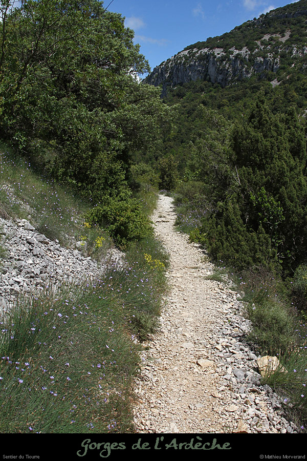 20130522_vallontiourre_sentier1