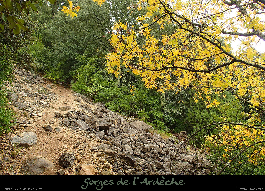 20131023_tiourre_sentiervxmoulintourre