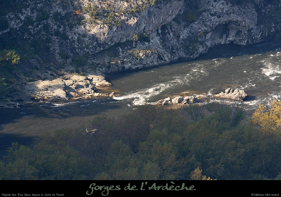20081011_troiseaux