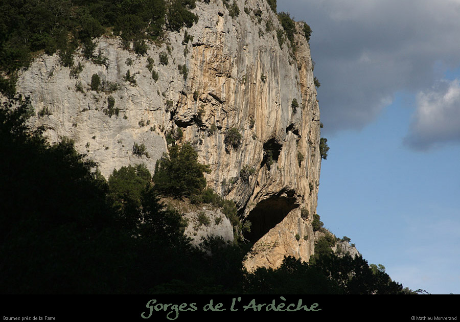 20110424_baumepresfarrerg2