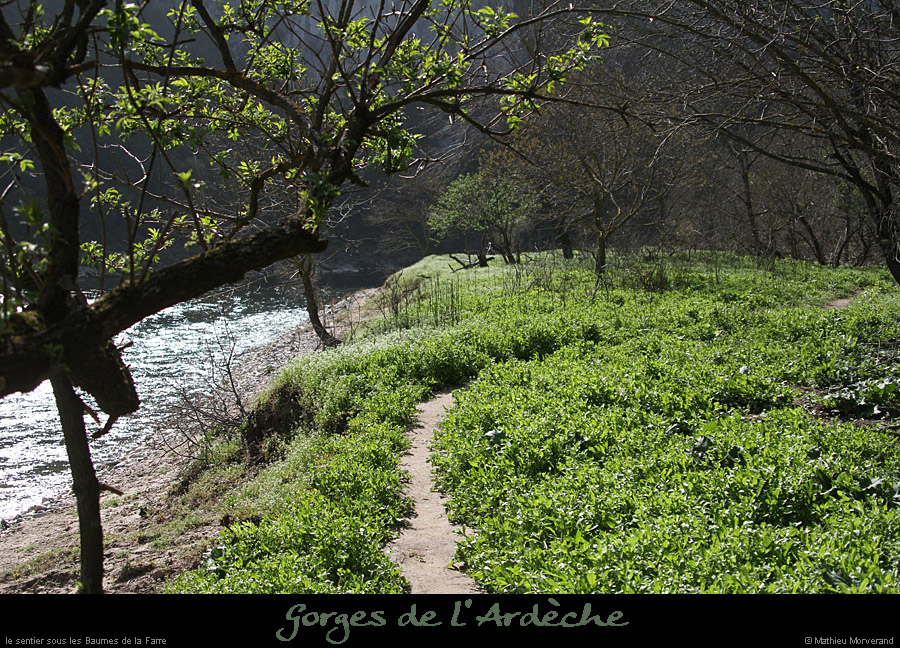 20130407_prairiesssbaumesdelafarre2