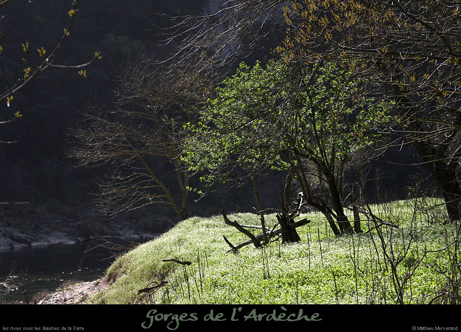 20130407_prairiesssbaumesdelafarre3