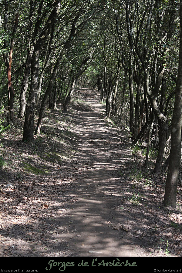 20130407_sentiergorges_plainecharmassonnet