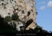 20110424_baumepresfarrerg1
