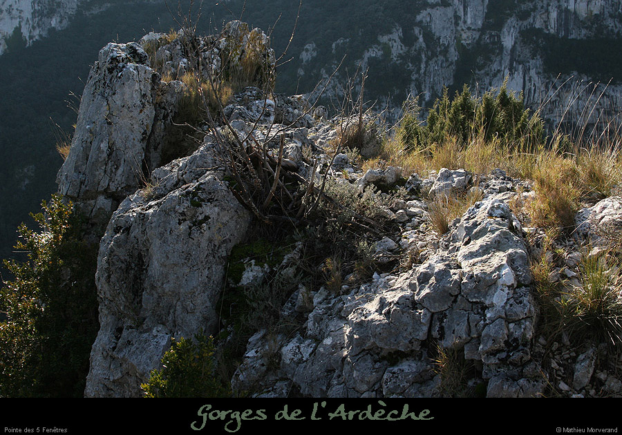 20090101_5fenetres_pte2_3