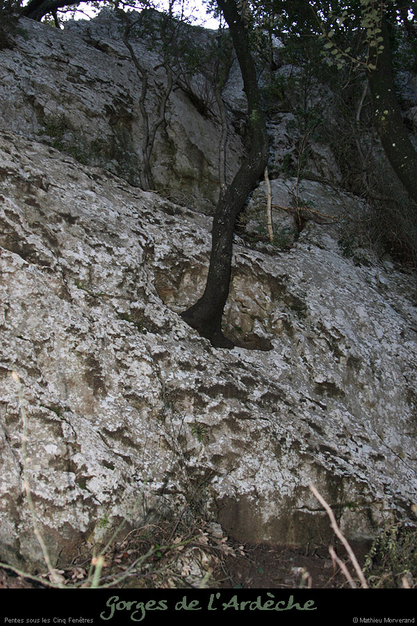 20090101_5fenetres_pte_crete_passage