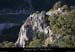 20090101_5fenetres_pte2_1