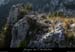 20090101_5fenetres_pte2_3
