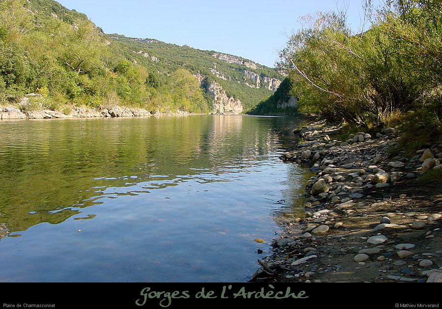 20000924_charmassonnetav