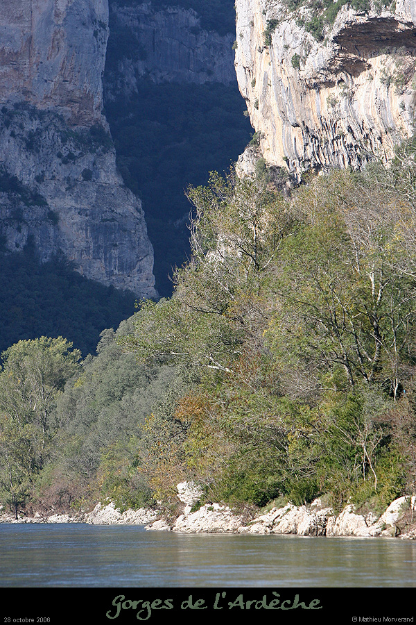 20061028_farreav