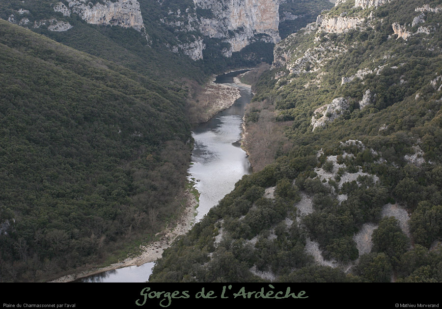 20080301_charmassonnet