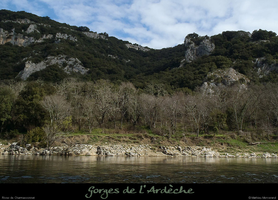 20130405_charmassonnet_rivegauche