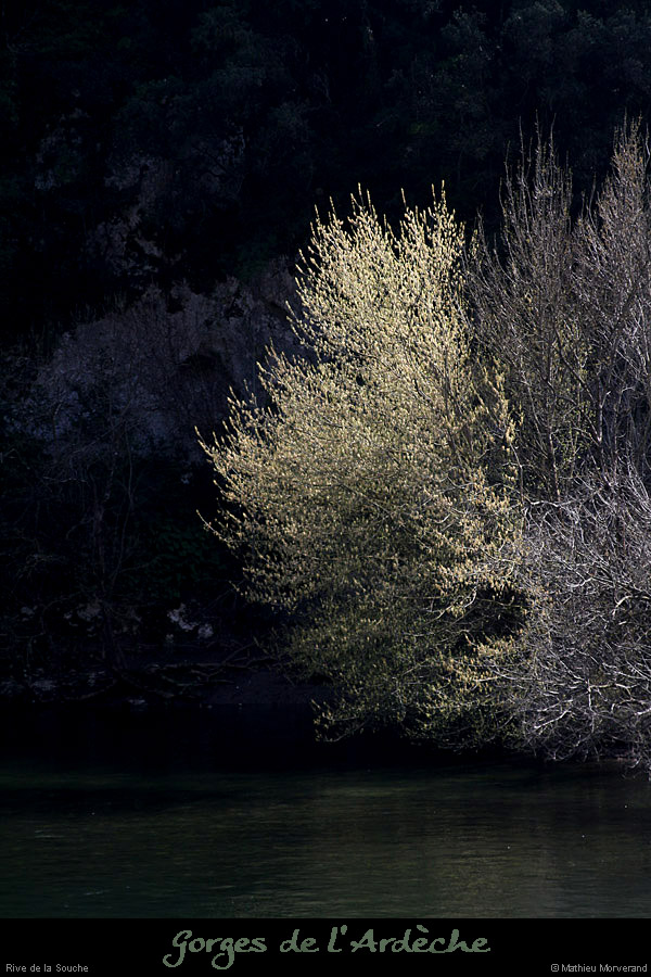 20130407_charmassonnet_rivedelasouche