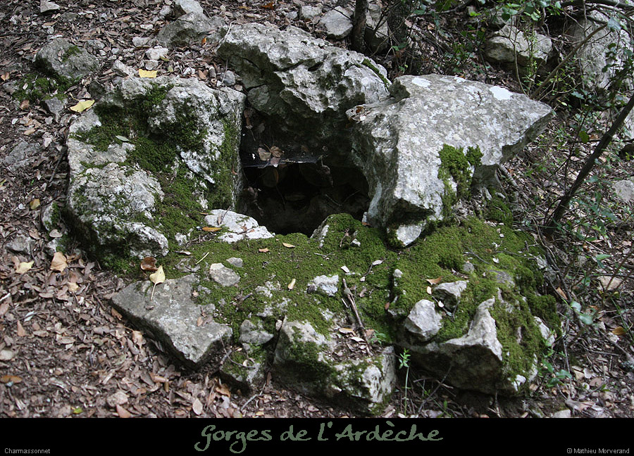 20130421_sentiercharmasson_vestige
