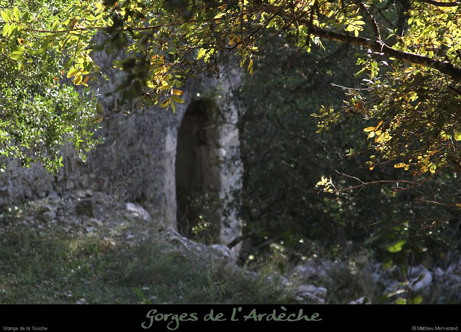 20151115_gorges1