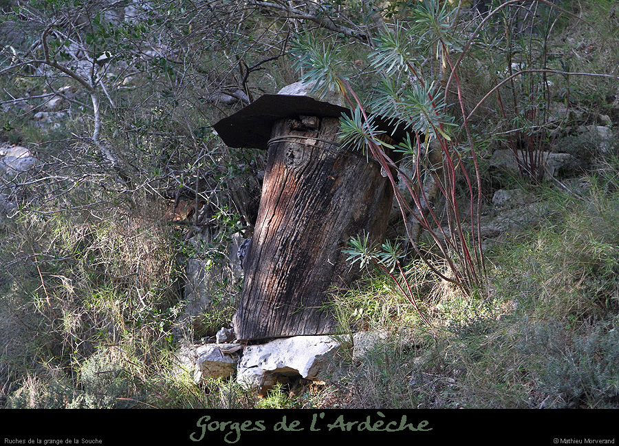 20151115_gorges4