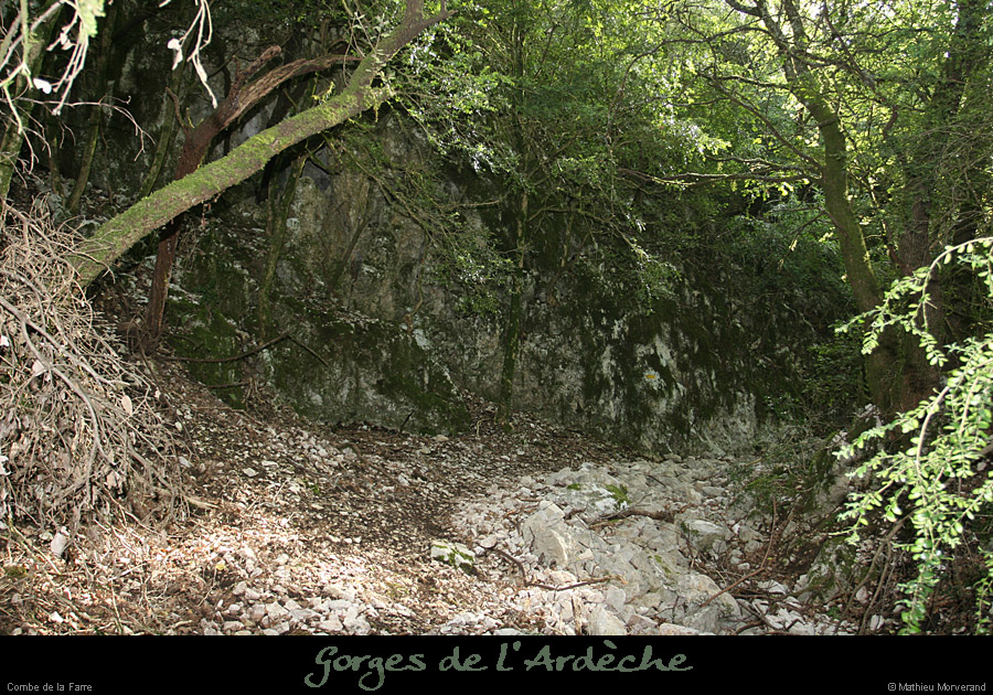 20080508_combedelafarre3