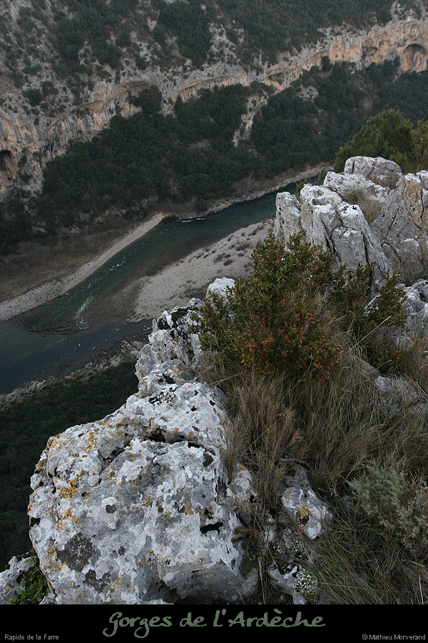 20081227_rapidefarredesaleyron1