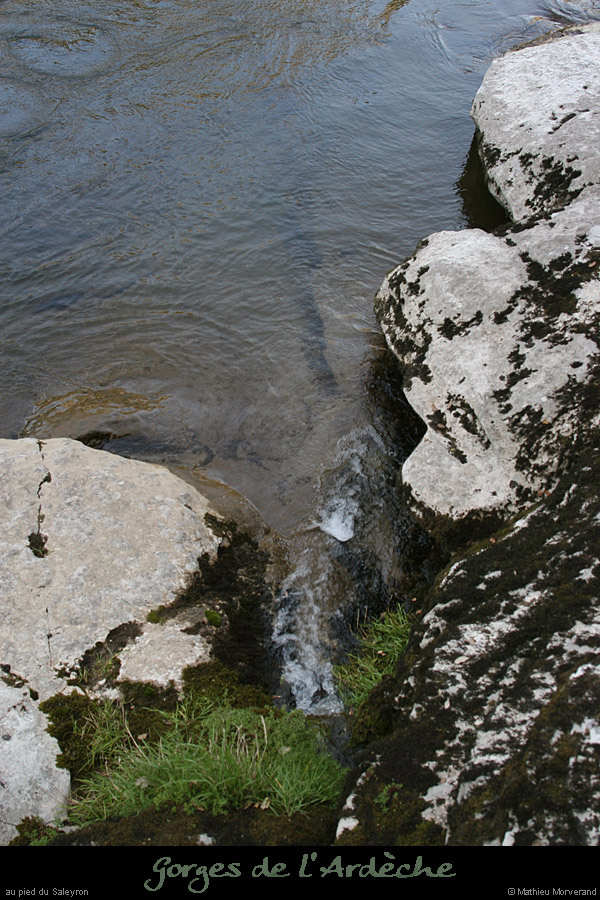 20080508_falaisebasfarresrc