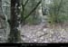 20090101_mtgnesable_sentier2