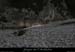 20110424_montagnesable_odouy01