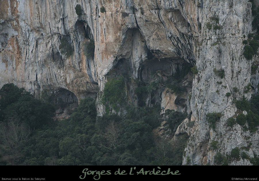 20081228_saleyron_baumessbalcon3