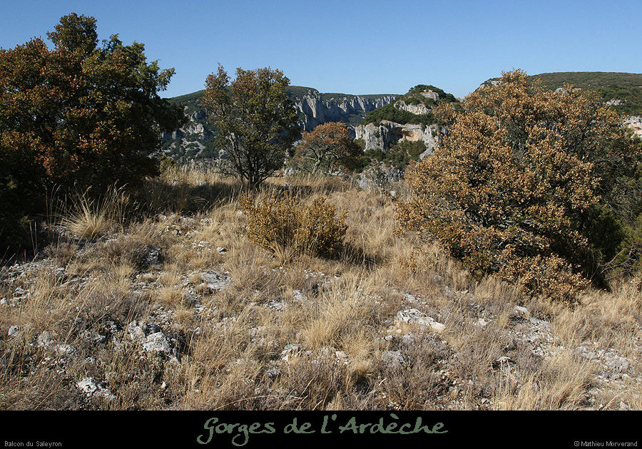 20090823_saleyrongrdbalcon