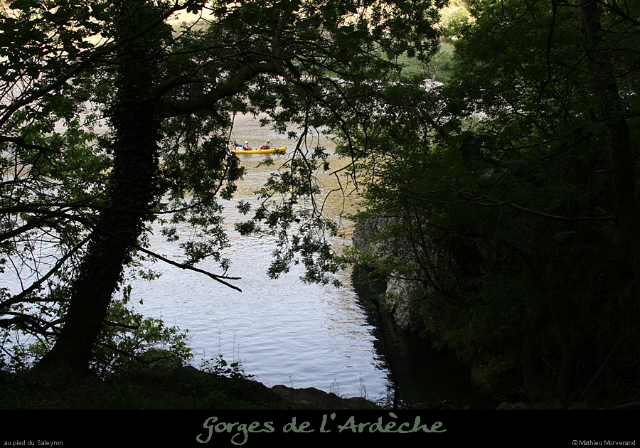20080508_basfalaisesaleyron1