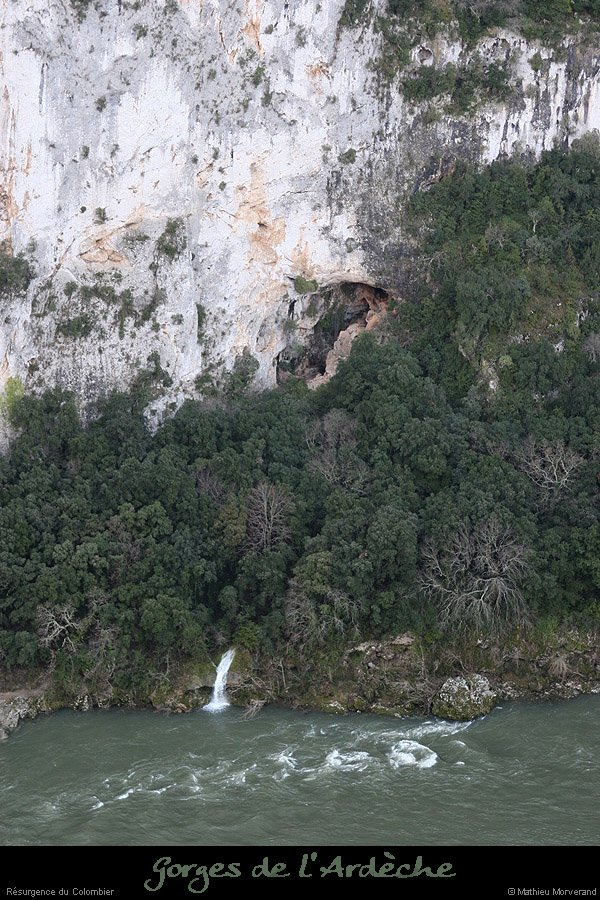20090101_colombie_resurgence2