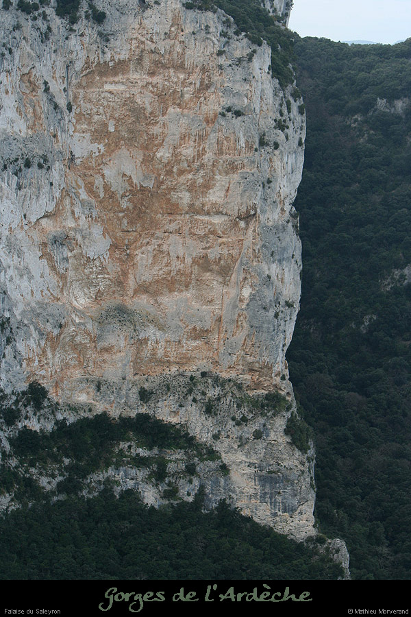 20081228_saleyron_falaise
