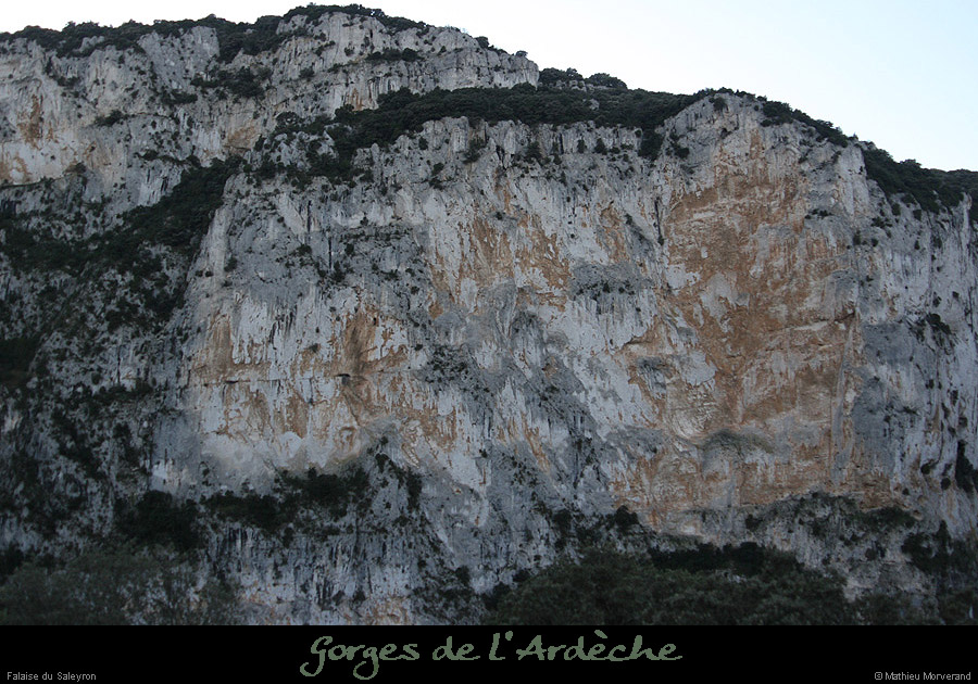 20090101_saleyronfalaise1