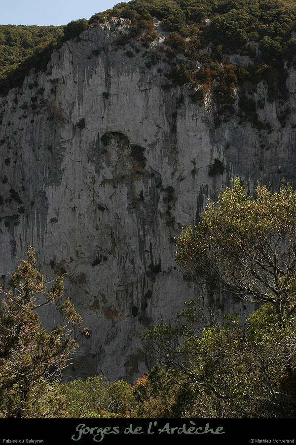 20090815_falaisesaleyrondebelvpasdumousse