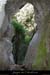 20080508_farre_08