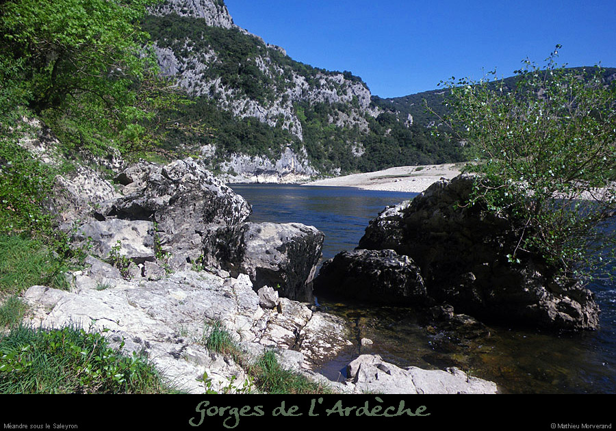 20110413_rivessouslesaleyron1