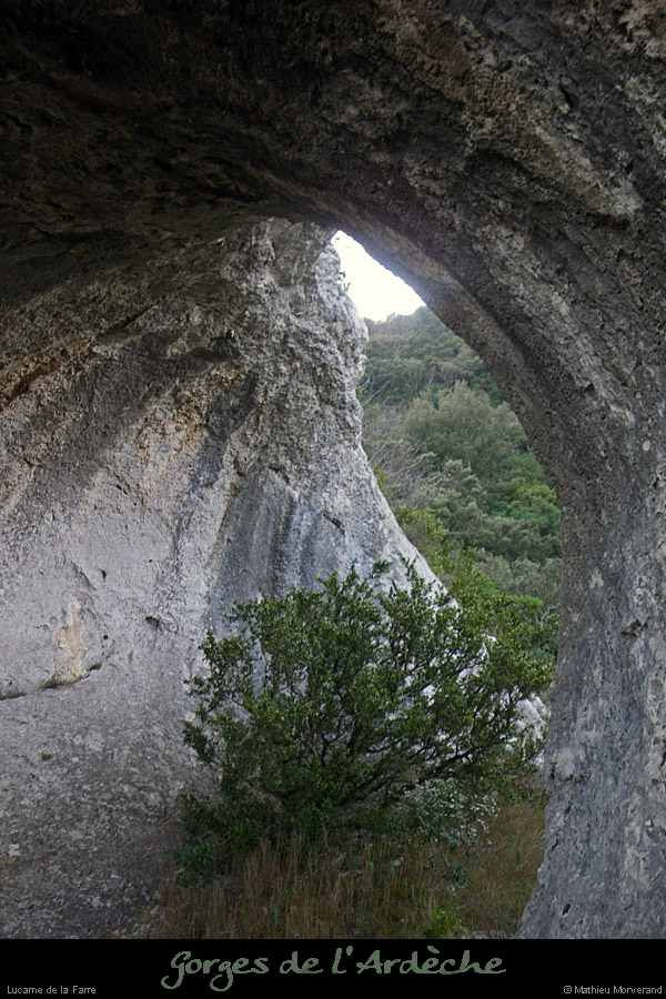20110128_saleyron_lucarnedelafarre