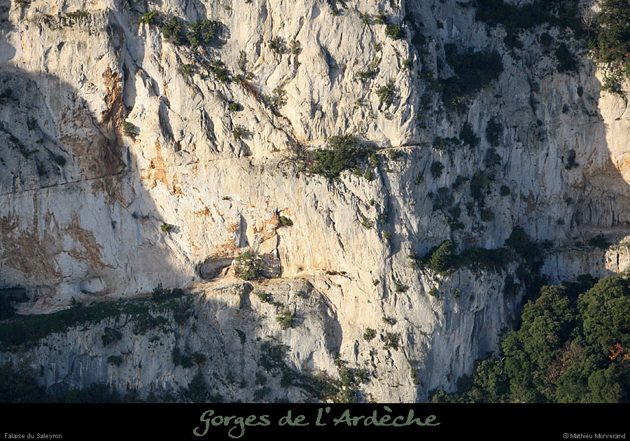20101113_viressaleyronwdepuisleserredetourre3