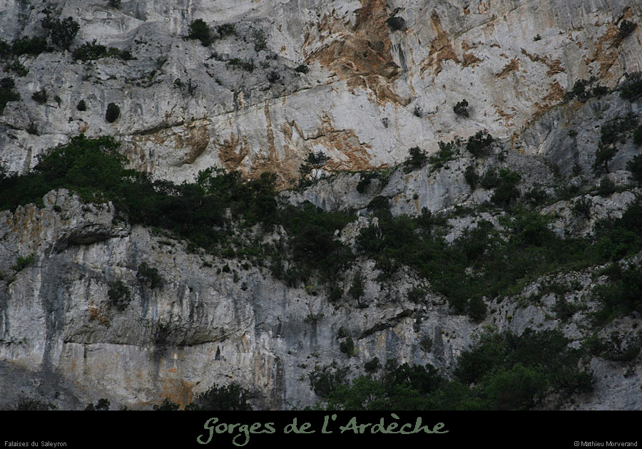 20110424_saleyron_vires2