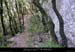20010701_saleyroncolombierchemin