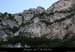 20110424_saleyron_grdefailleetvires2